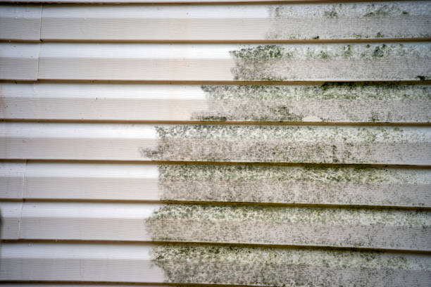 Best Siding Removal and Disposal  in Bossier City, LA