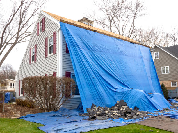 Best Insulated Siding Installation  in Bossier City, LA